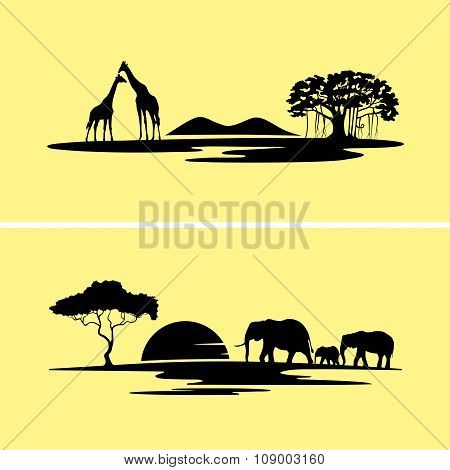 Africa  Landscape