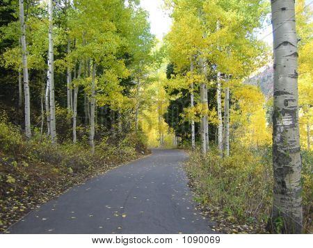 Canyon Road