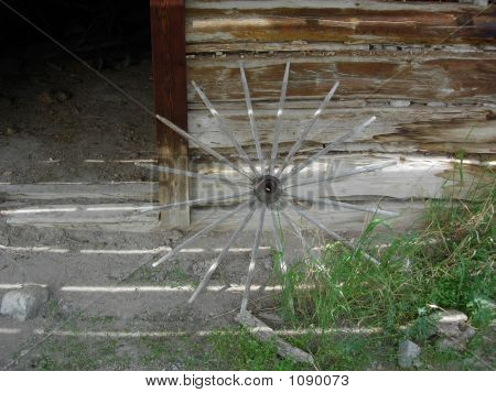 Roda