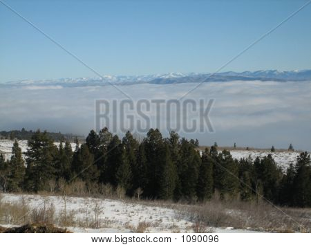Bearlakeutah