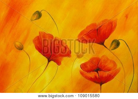 Red poppy on orange background. Red poppies. Red flower on abstract color background