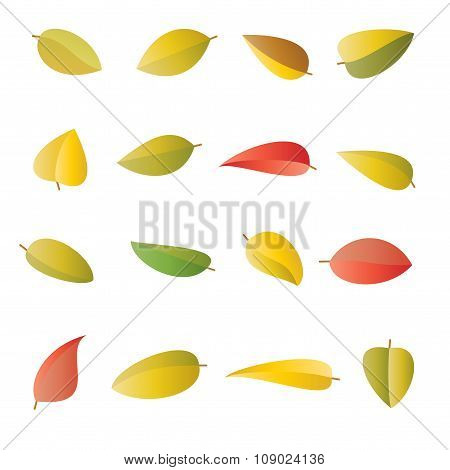Set Of Multicolored Bright Autumn Leaves, In Vector