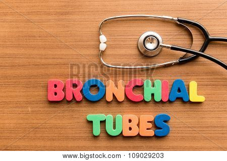 Bronchial Tubes