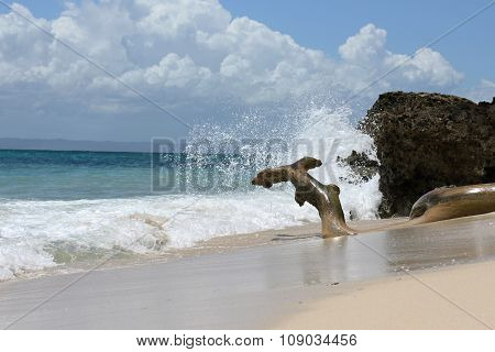 vacation, tropics, sea, palm trees, the sun - a paradise on earth.