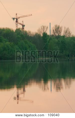 Grues en soirée