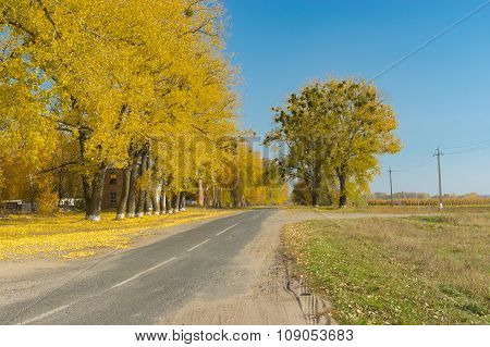 Autumnal street of small village Synivka in Sumskaya oblast Ukraine
