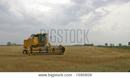 Młockarnia zbiorów pszenicy