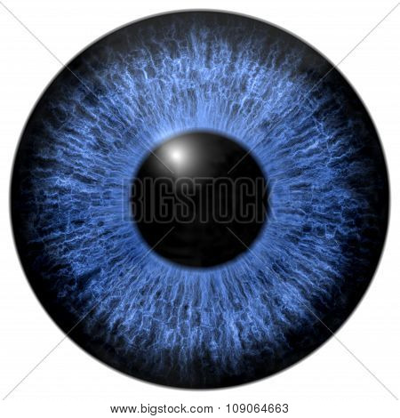 Blue Eye Iris