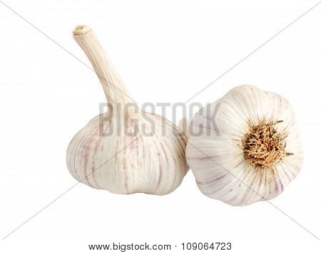 Garlic Isolated On White Background