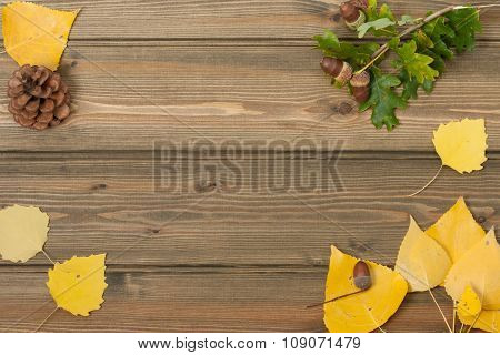 Oak Acorns, Pine Cone, Autumn Leaves. Wooden Table. Outdoors. Ba