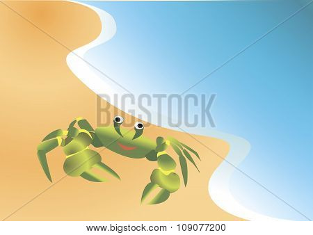 Crab on sandy shore