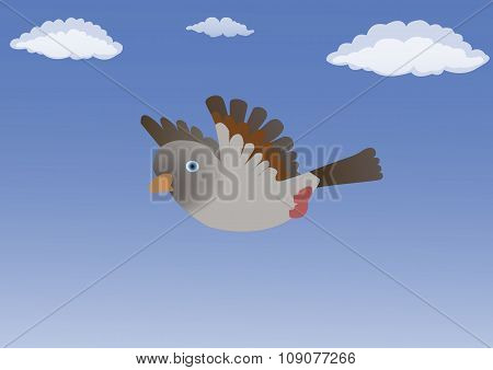 Bird in the blue sky