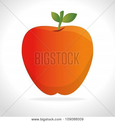 Orange fruit icon graphi