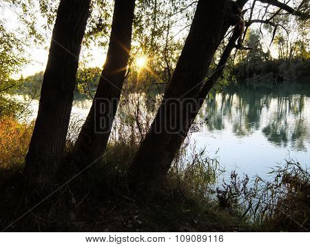 Wild Brenta River