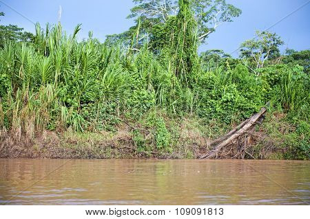 Amazon River Outside