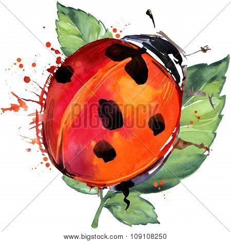 ladybird insect T-shirt graphics, ladybird illustration with splash watercolor textured background.