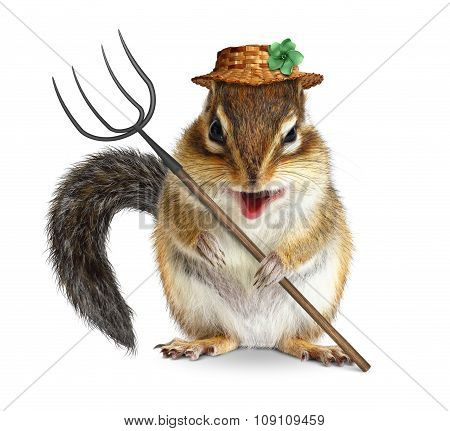 Funny Animal Farmer, Squirrel With Pitchfork And Hat Isolated On White