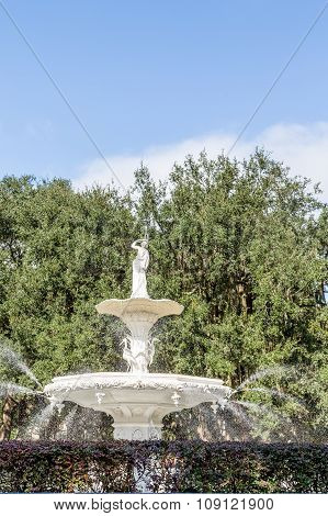 Fountain And Oak Tree