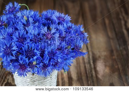 A bunch of beautiful summer flower of Cornflower in the white bucket.
