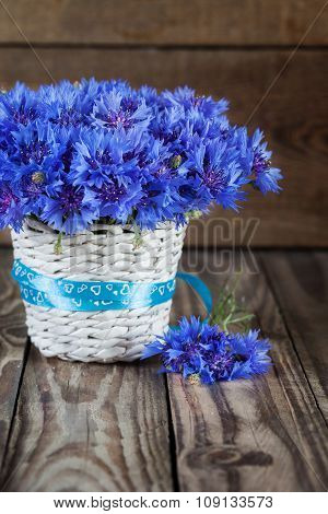 A bunch of beautiful summer flower of Cornflower in the white bucket.