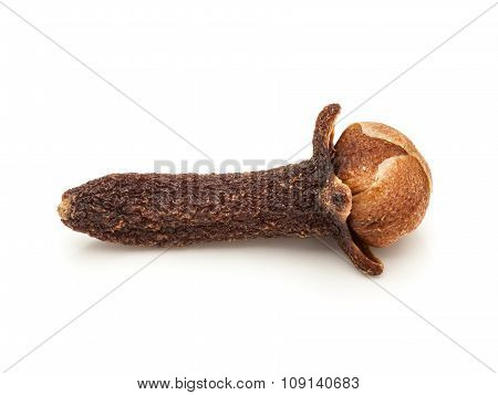 Macro closeup of a Organic black clove.