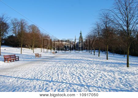 Inverno nel parco