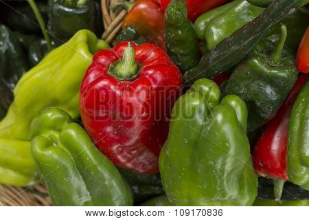 Red and green bell peppers and cubanelle on display at local farmers market