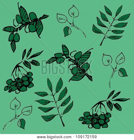 green pattern