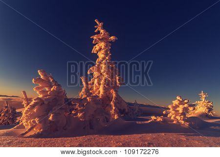 Fantastic orange evening landscape glowing by sunlight. Dramatic wintry scene with snowy trees. Kukul ridge, Carpathians, Ukraine, Europe. Merry Christmas!