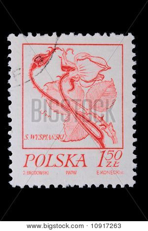 Polen - ca. 1968: Eine Briefmarke - Blume