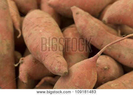 Sweet Potatoes