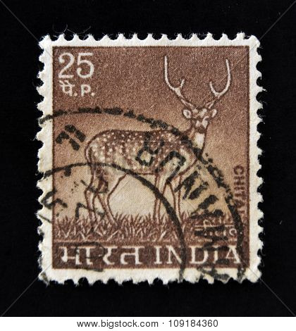 INDIA - CIRCA 1963: A stamp printed in India shows Deer with the inscription 