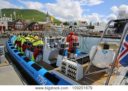 Whale Watching