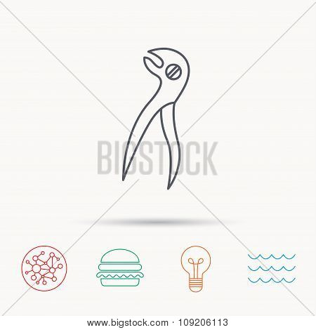 Dental pliers icon. Stomatological forceps tool.