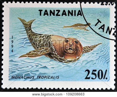 TANZANIA - CIRCA 1994: A stamp printed in Tanzania shows Carribean monk seals (Monachus tropicalis)