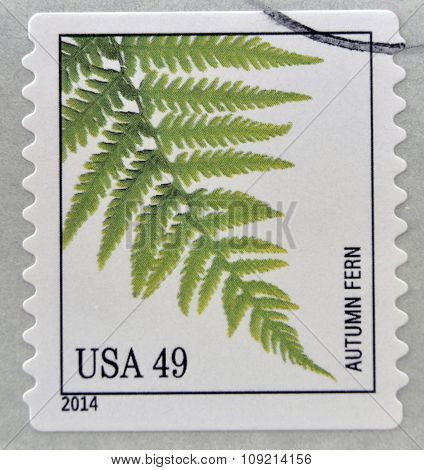 A stamp printed in USA dedicated to Ferns shows autumn fern circa 2014