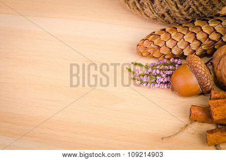 autumn background with empty space for text
