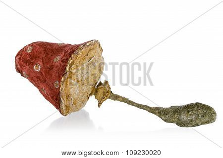 Mushroom - Toy Of Handmade, Isolated On White Background