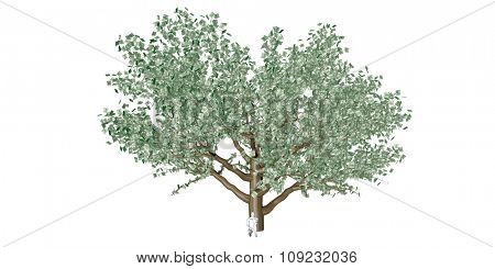 Hidden Opportunity with a Man Not Knowing His Wealth