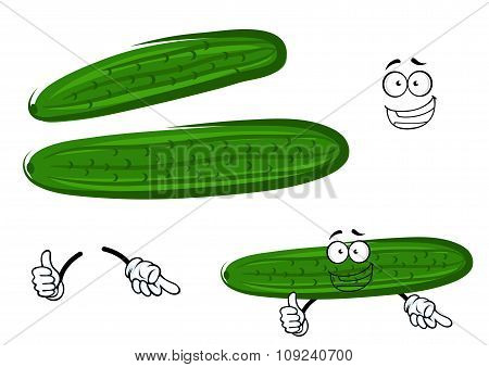 Cartoon crunchy green cucumber vegetable