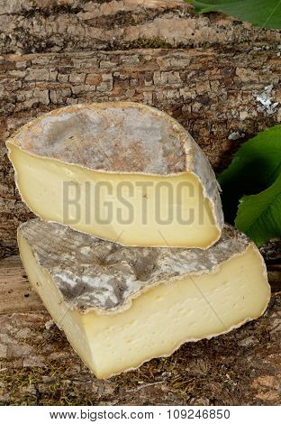 Tomme Cheese Of Savoie Placed On A Piece Of Wood