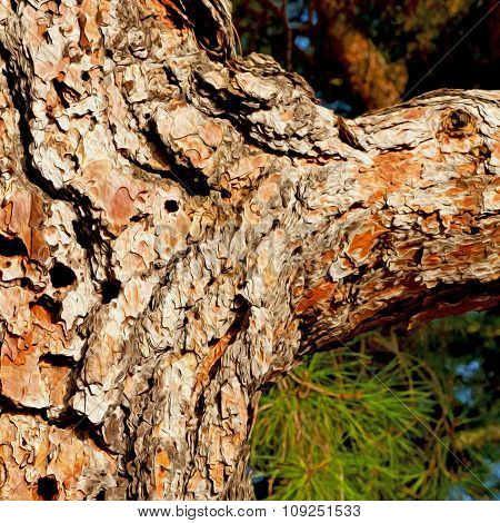 Barck In The Abstract Close Up Of A Tree Color And Texture