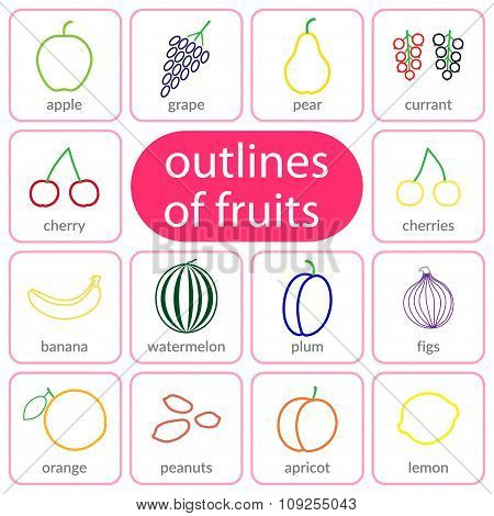 Flat Fruits Outlined Coloured