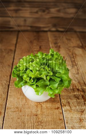 Fresh Green Kale In Ceramic Bowl. Selective Focus.