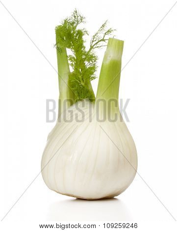 Fresh fennel bulb isolated on white background close up