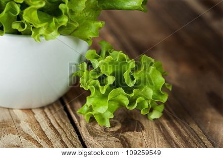 Closeup Fresh Green Kale In Ceramic Bowl. Selective Focus.
