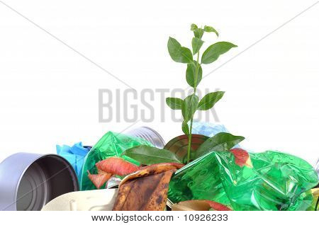 흰 배경에 고립 된 쓰레기에서 새로운 생활