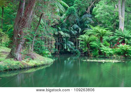 The Terra Nostra Garden On Sao Miguel Island, Azores.