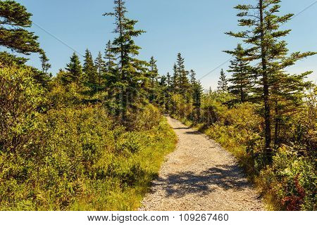 Trail At Keji Seaside