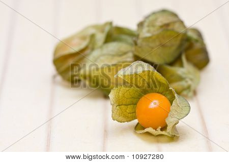 Physalis